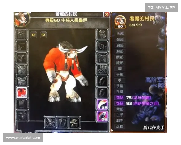 魔兽世界怀旧服：冰原装备图纸制作秘籍